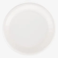 Isap 10 Assiettes Eco-Friendly Blancs