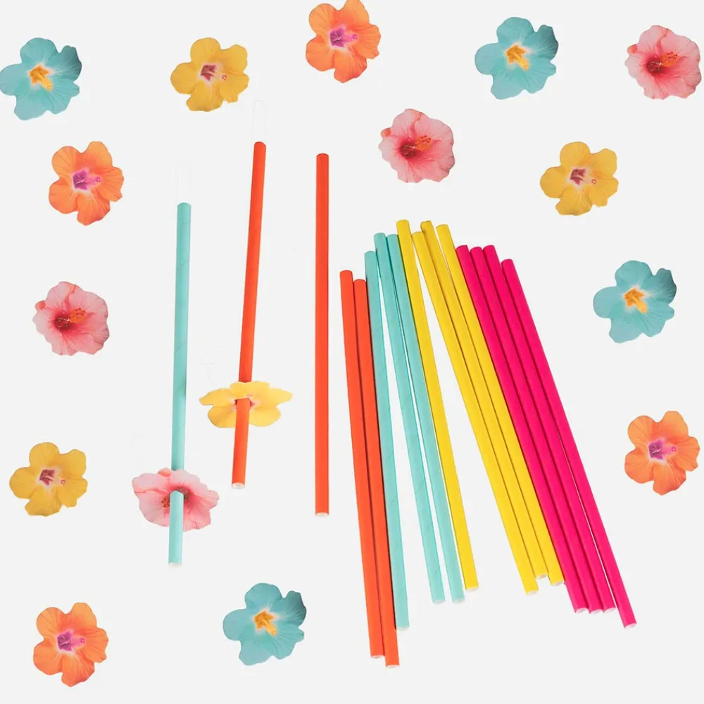 Ginger Ray 16 Pailles Fleurs Tropicales