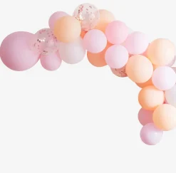 Ginger Ray Arche De Ballon : 60 Ballons Camaieu De Rose Clair> Arche De Ballon