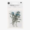 Rico Design Fleurs Sechees : Alysson Bleu