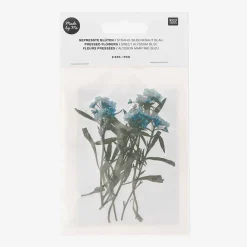 Rico Design Fleurs Sechees : Alysson Bleu