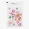 Rico Design Fleurs Sechees Pressees : Mix Orange, Rose, Turquoise
