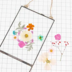 Rico Design Fleurs Sechees Pressees : Mix Orange, Rose, Turquoise