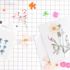 Rico Design Fleurs Sechees Pressees : Mix Orange, Rose, Turquoise
