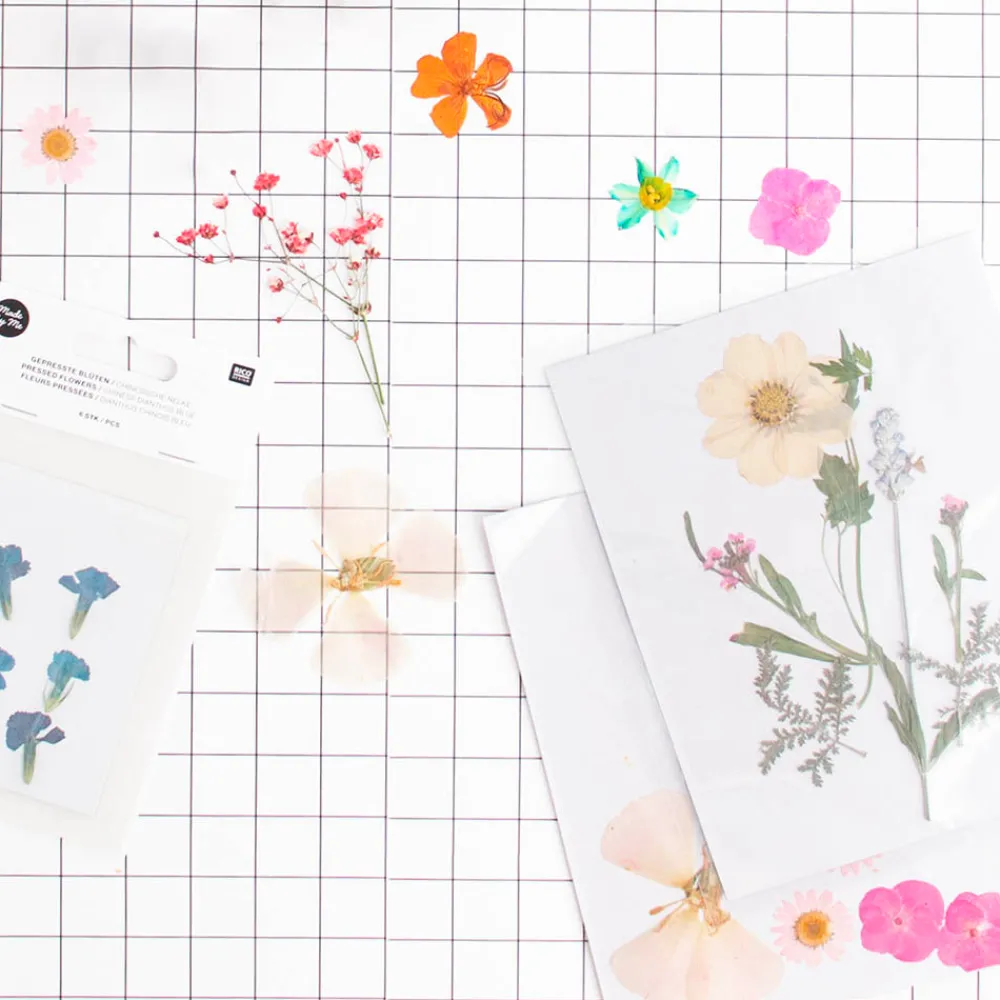 Rico Design Fleurs Sechees Pressees : Mix Orange, Rose, Turquoise