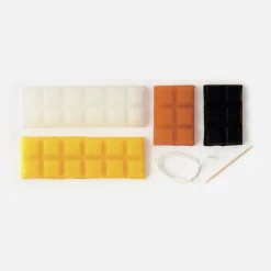 Graine Créative Kit Bougie A Modeler Animaux Sauvages